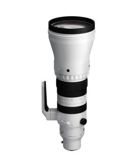 Sigma 300-600mm f4 DG OS Sport Lens (Sony FE)