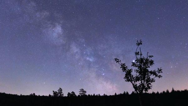 Stargazing: How to Shoot Night Sky Photography